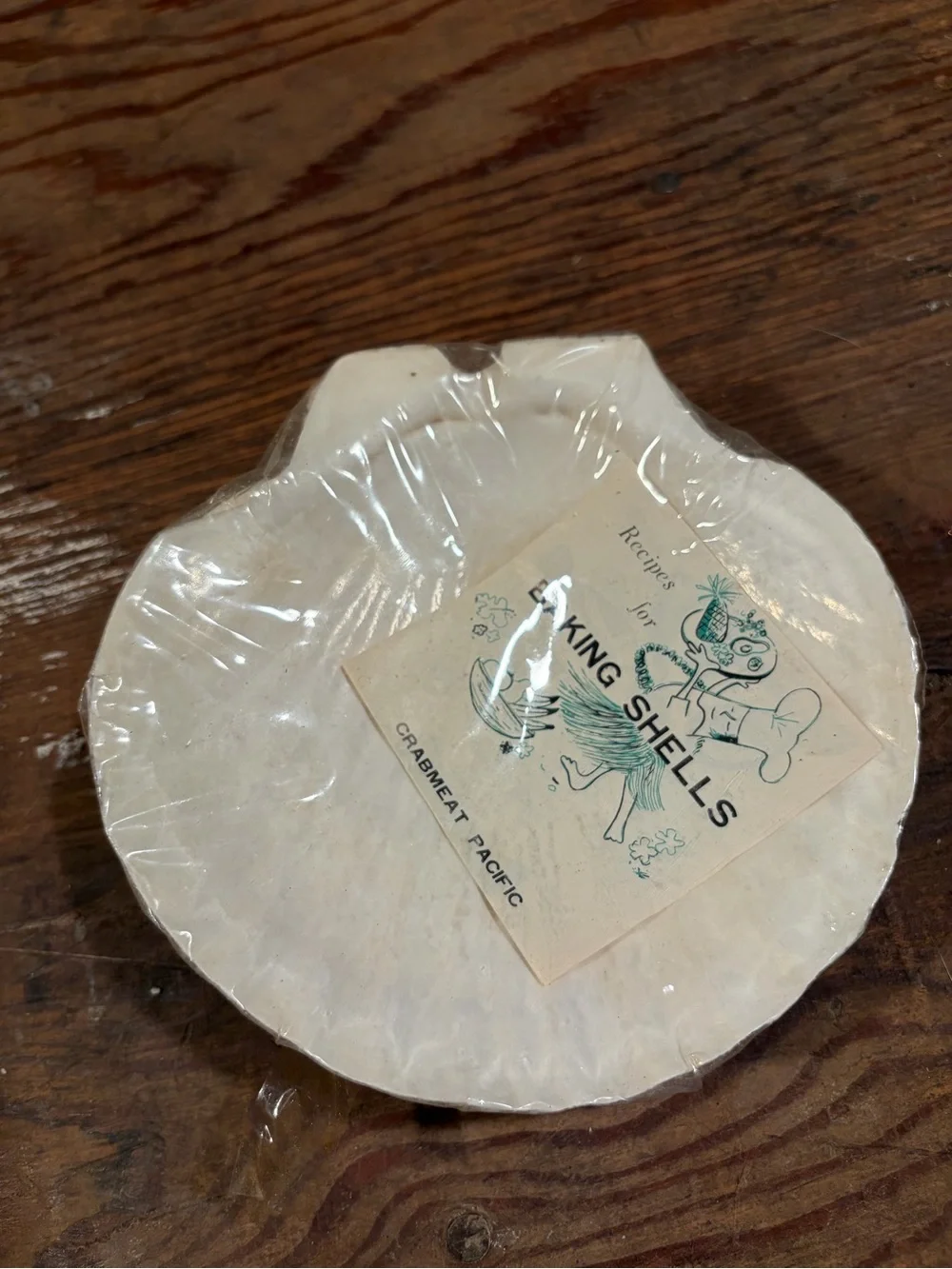 King Shells Decorative Shell Dish with Label. 8 total